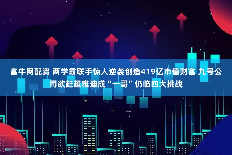 富牛网配资 两学霸联手惊人逆袭创造419亿市值财富 九号公司欲赶超雅迪成“一哥”仍临四大挑战