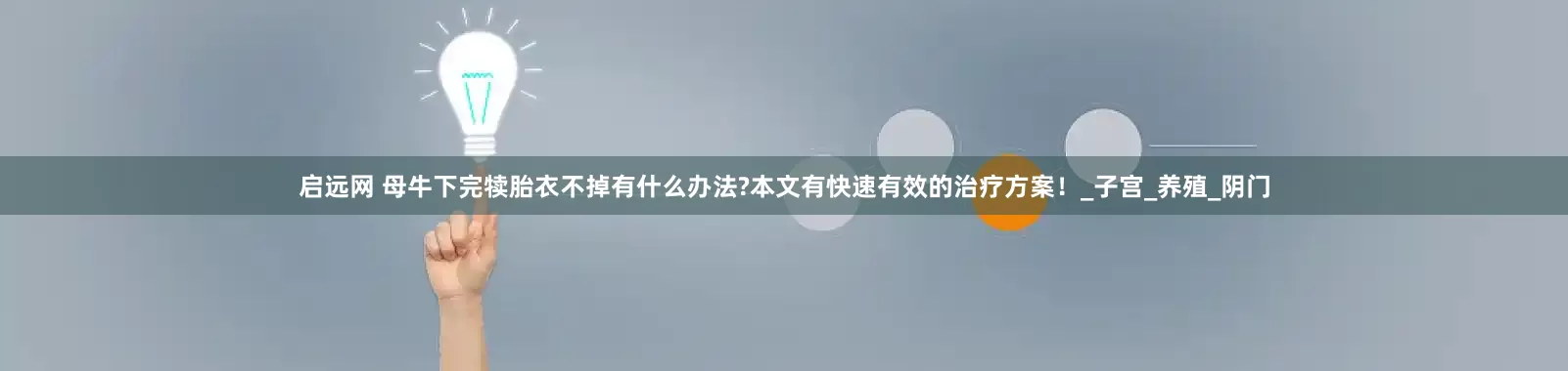 启远网 母牛下完犊胎衣不掉有什么办法?本文有快速有效的治疗方案！_子宫_养殖_阴门