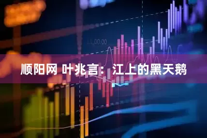 顺阳网 叶兆言：江上的黑天鹅